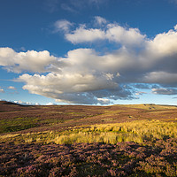 Buy canvas prints of Summer in the High Peak by Andrew Kearton