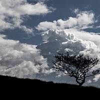 Buy canvas prints of Lone tree and big clouds by Andrew Kearton