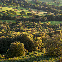Buy canvas prints of English landscape in mellow autumn sunlight by Andrew Kearton
