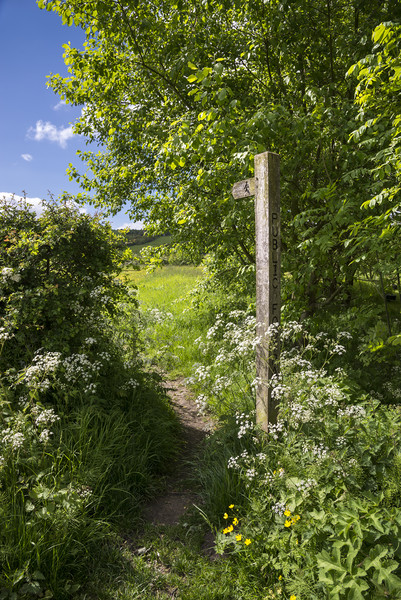 Footpath sign in summer Picture Board by Andrew Kearton