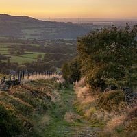 Buy canvas prints of Summer evening on a hillside path by Andrew Kearton