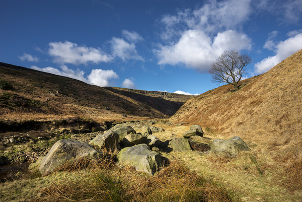 A sunny winters day at Crowden Picture Board by Andrew Kearton