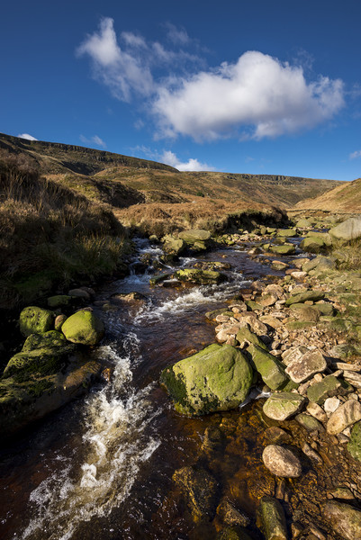 Crowden brook Picture Board by Andrew Kearton