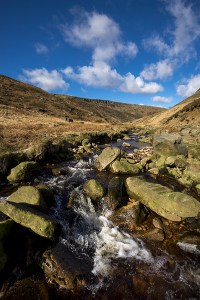 Crowden brook Picture Board by Andrew Kearton