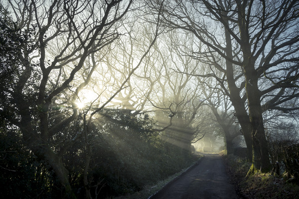 Woodseats lane on a February morning Picture Board by Andrew Kearton