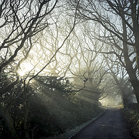 Buy canvas prints of Woodseats lane on a February morning by Andrew Kearton