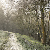 Buy canvas prints of Frosty walk beside the woods by Andrew Kearton