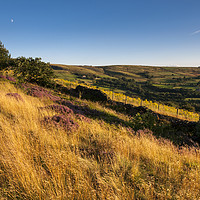 Buy canvas prints of Summer grasses below Coombes by Andrew Kearton