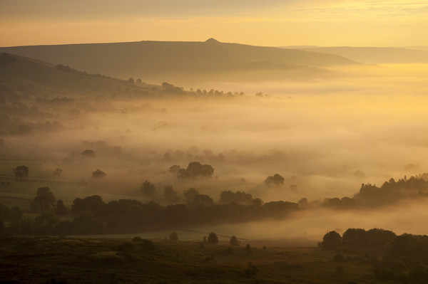 Golden mist in the Hope valley Picture Board by Andrew Kearton