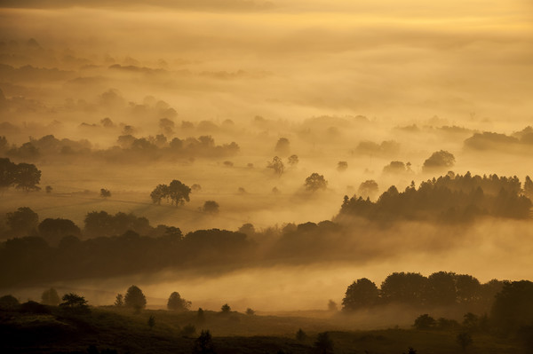 Golden mist over Castleton Picture Board by Andrew Kearton