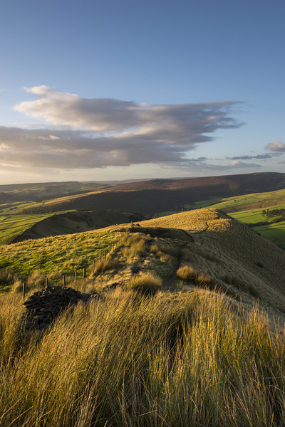Summer evening on the hills Picture Board by Andrew Kearton