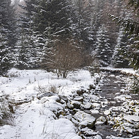 Buy canvas prints of Snowy forest beside the Snake Pass by Andrew Kearton