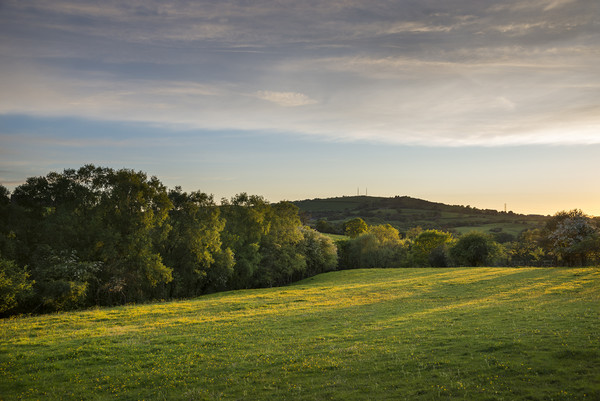 A peaceful summer evening Picture Board by Andrew Kearton