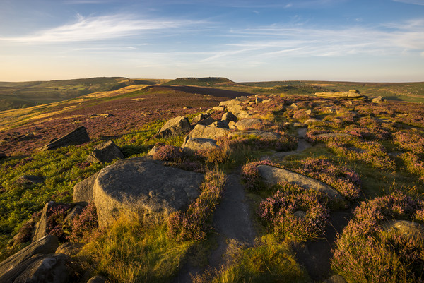 Summer sunset on Hathersage Moor Picture Board by Andrew Kearton
