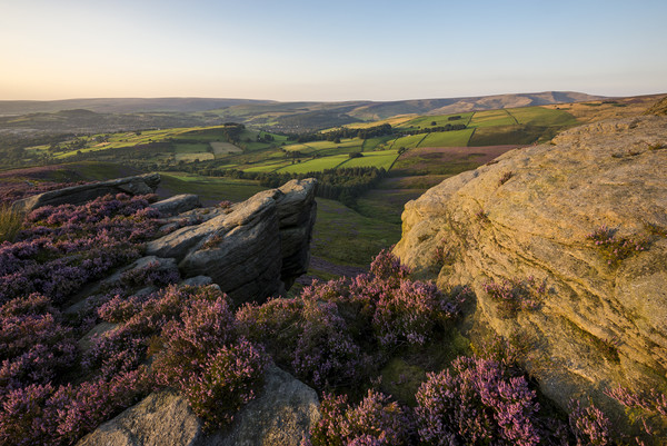 Summer colour on the moors Picture Board by Andrew Kearton