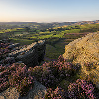 Buy canvas prints of Summer colour on the moors by Andrew Kearton