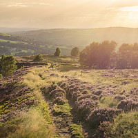 Buy canvas prints of Sunset glow on a summer landscape by Andrew Kearton