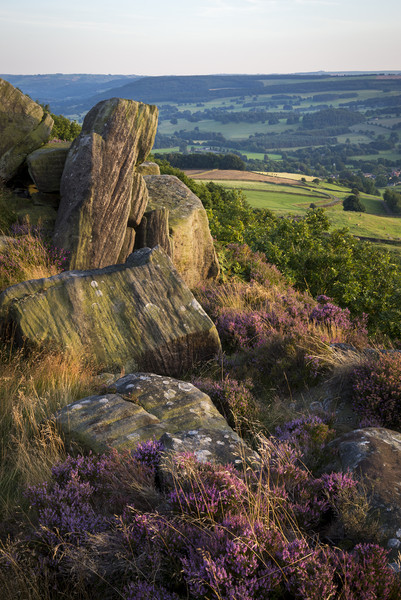 Summer colours on Baslow edge Picture Board by Andrew Kearton