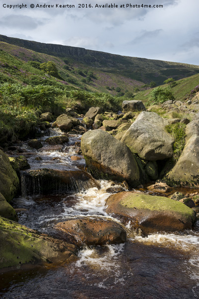 Rocky moorland stream at Crowden, Derbyshire Picture Board by Andrew Kearton