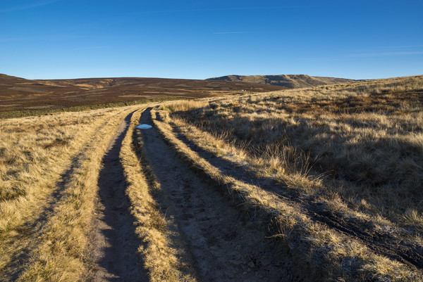 Snake path on the moors above Hayfield, Derbyshire Picture Board by Andrew Kearton