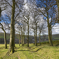 Buy canvas prints of Twenty trees, Hayfield, Derbyshire by Andrew Kearton