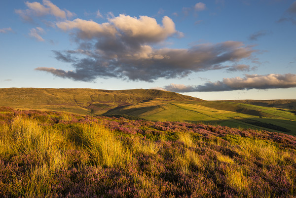 Warm summer sunshine on moors above Hayfield Picture Board by Andrew Kearton