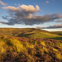 Buy canvas prints of Warm summer sunshine on moors above Hayfield by Andrew Kearton