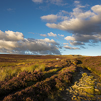 Buy canvas prints of Heather blooming on moors above Hayfield by Andrew Kearton