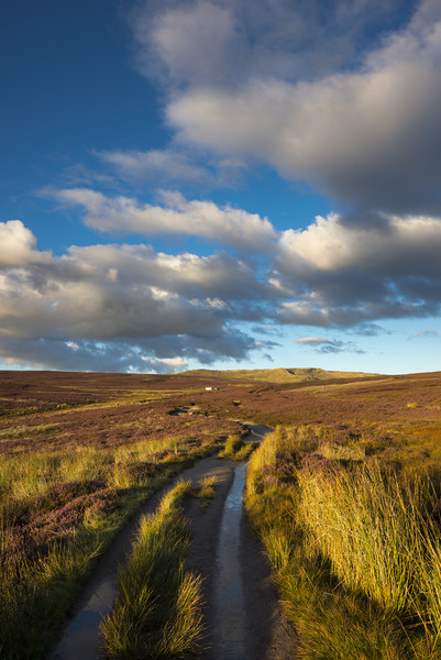 Snake path on the moors above Hayfield, Derbyshire Picture Board by Andrew Kearton