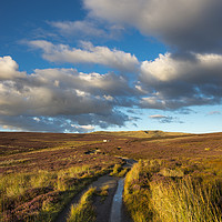 Buy canvas prints of Snake path on the moors above Hayfield, Derbyshire by Andrew Kearton