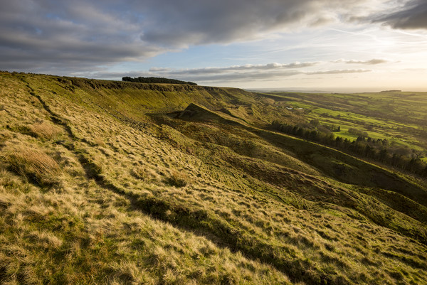 Spring evening on Coombes edge Picture Board by Andrew Kearton