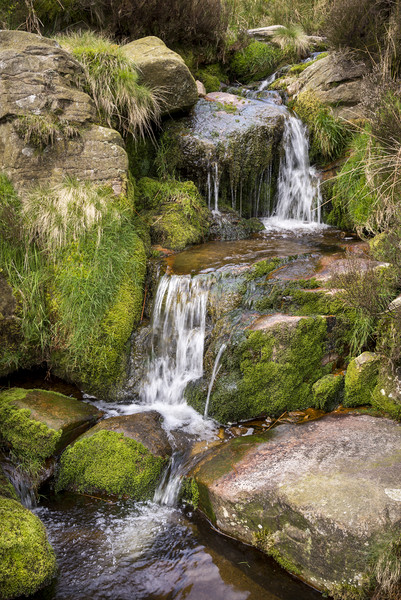 Rocky moorland stream in the Peak District Picture Board by Andrew Kearton
