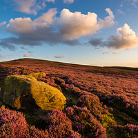 Buy canvas prints of Heather moorland at sunset by Andrew Kearton