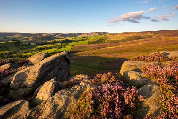Summer evening at the Worm Stones, Glossop Picture Board by Andrew Kearton