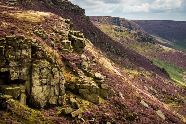Colours of Kinder Scout Picture Board by Andrew Kearton