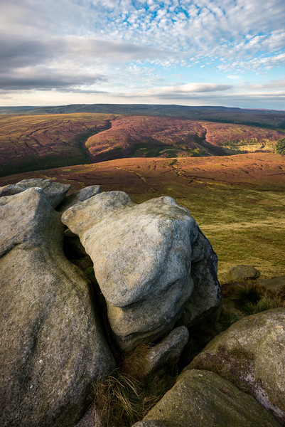 Northern moors in late summer Picture Board by Andrew Kearton
