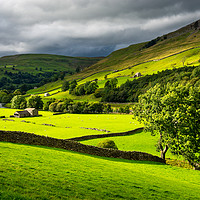 Buy canvas prints of Green fields in Swaledale, North Yorkshire by Andrew Kearton