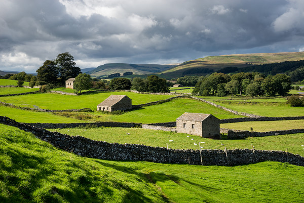 Old stone barns in the Yorkshire Dales Picture Board by Andrew Kearton