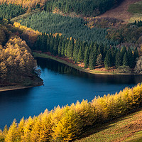 Buy canvas prints of Vivid autumn colour at Derwent reservoir by Andrew Kearton