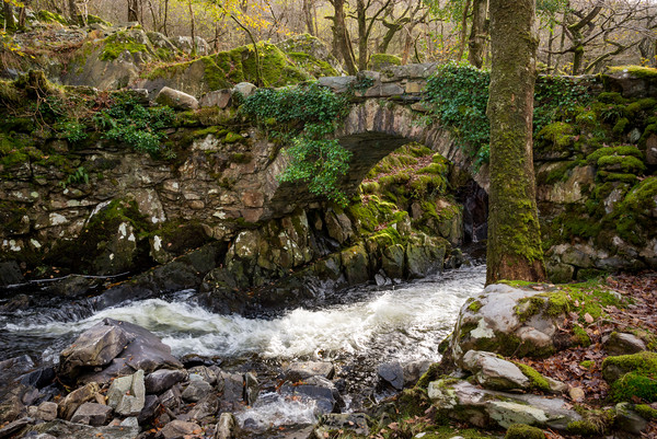 Old stone bridge in Snowdonia Picture Board by Andrew Kearton