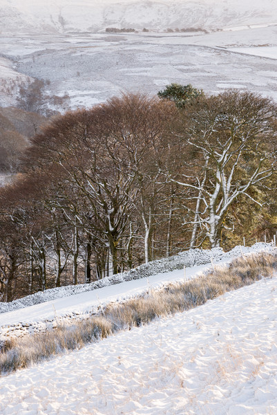 Winter in the hills of the Peak District Picture Board by Andrew Kearton