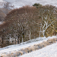 Buy canvas prints of Winter in the hills of the Peak District by Andrew Kearton