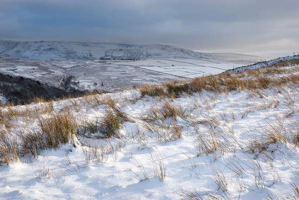 Snowy morning in the Peak District Picture Board by Andrew Kearton