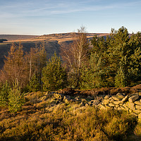 Buy canvas prints of Warm sunlight at Shire Hill, Glossop, Derbyshire by Andrew Kearton