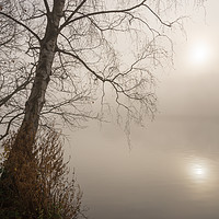 Buy canvas prints of Tranquil winter morning by Andrew Kearton