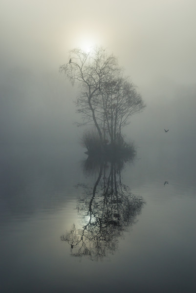 Island in the fog Picture Board by Andrew Kearton