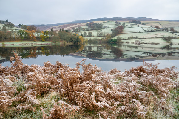 Frosty morning at Ladybower reservoir, Derbyshire Picture Board by Andrew Kearton