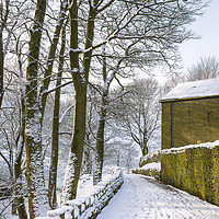 Buy canvas prints of Coldwell Clough, Hayfield, Derbyshire by Andrew Kearton