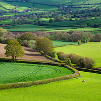 Buy canvas prints of Shropshire countryside in spring by Andrew Kearton