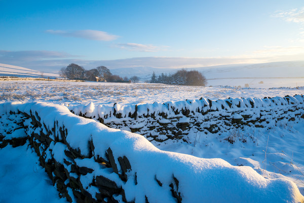 Snowy morning in the High Peak, Derbyshire Picture Board by Andrew Kearton